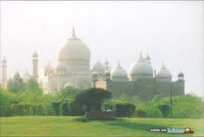 images (13) - TAJ MAHAL