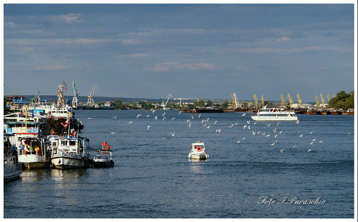 IMG_1589 - Ziua Marinei la Galati 2012