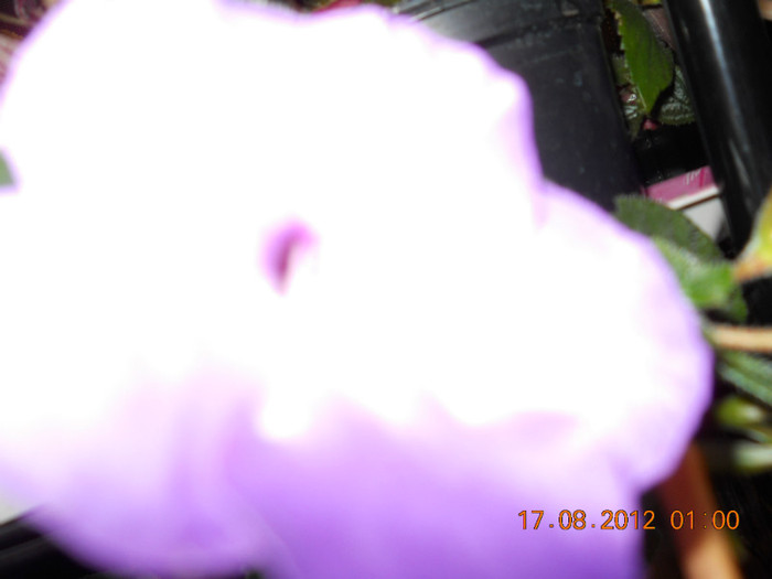 16.08.2012 056