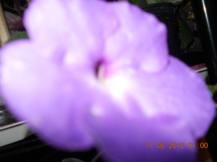 16.08.2012 057