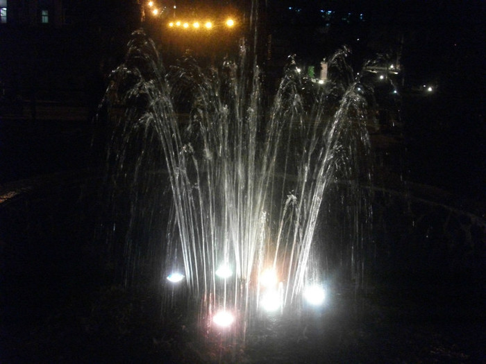 Picture 079