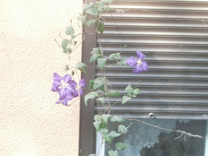 Picture 093 - Mini concediu  1