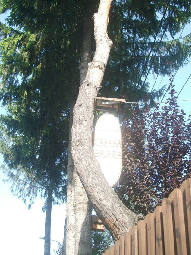 Picture 109 - Mini concediu  1