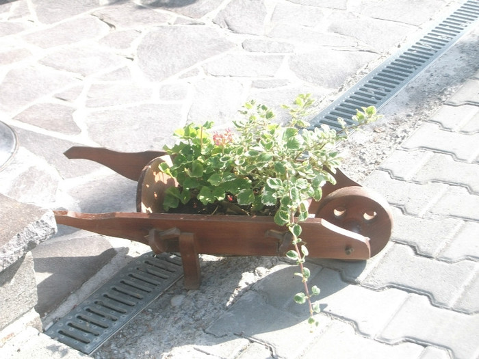 Picture 120 - Mini concediu  1