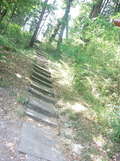 Picture 194 - Mini concediu  1