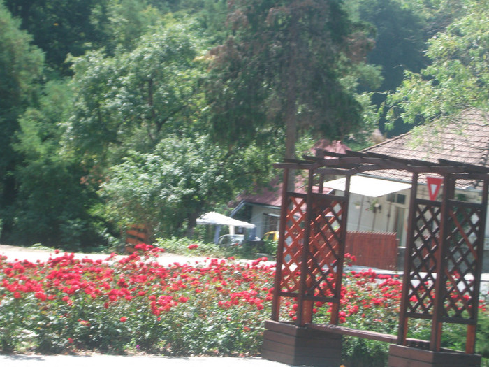 Picture 195 - Mini concediu  1