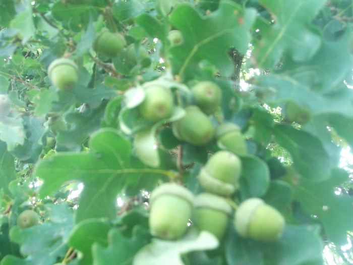 Picture 199 - Mini concediu  1