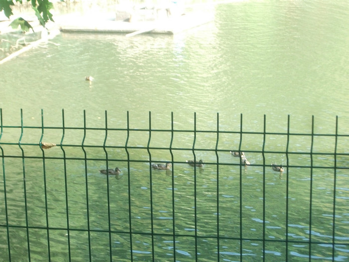 Picture 214 - Mini concediu  1