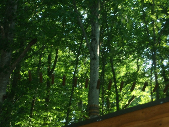 Picture 241 - Mini concediu  1