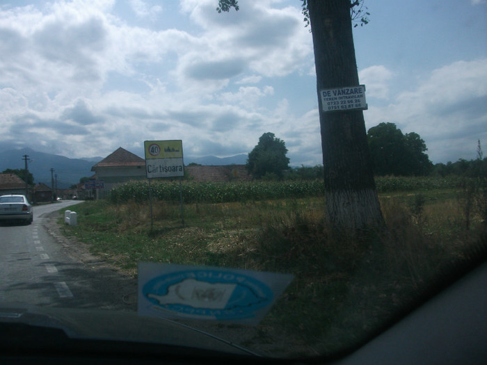 CÂRŢIŞOARA - Mini concediu  1