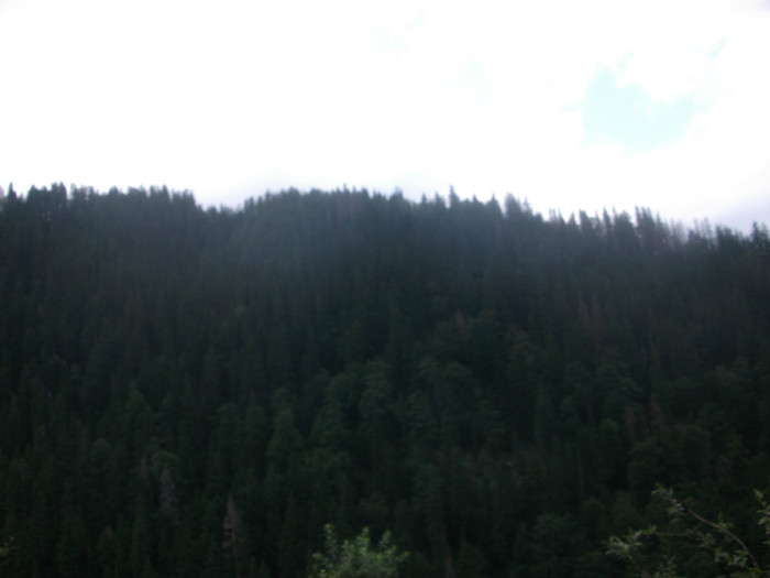 Picture 333 - Mini concediu  1