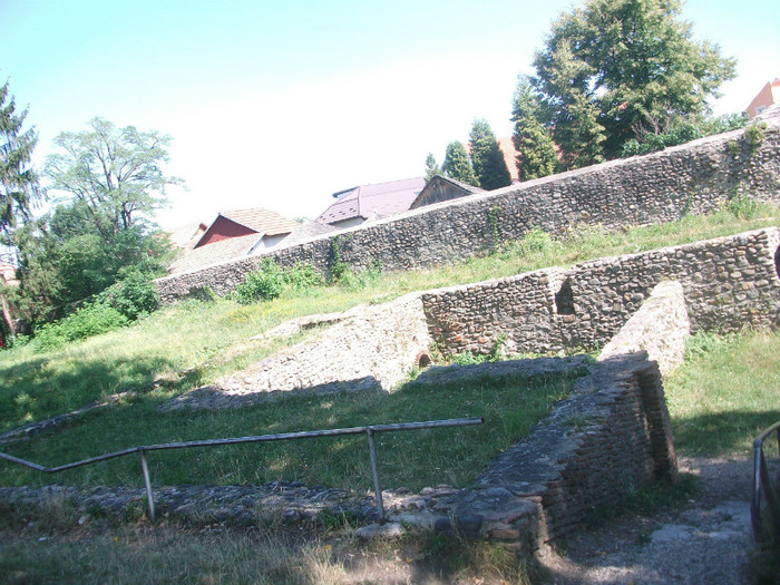 Picture 896