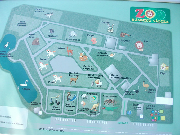 GRADINA ZOOLOGICA DIN VALCEA - Mini concediu 3