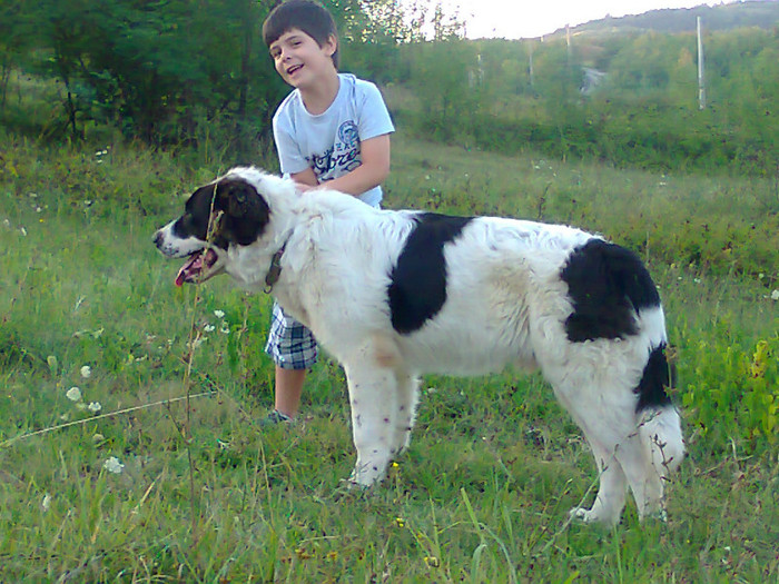 Photo0980 - Iancu la 6 luni si jumatate