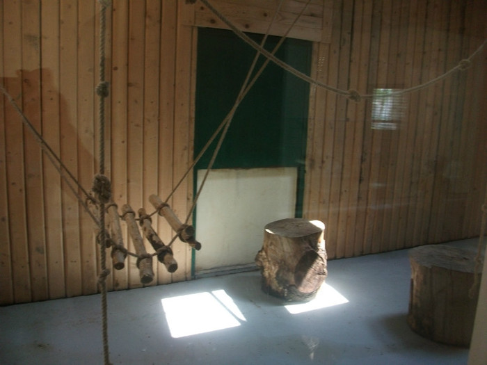 locul de joacă al ratonilor