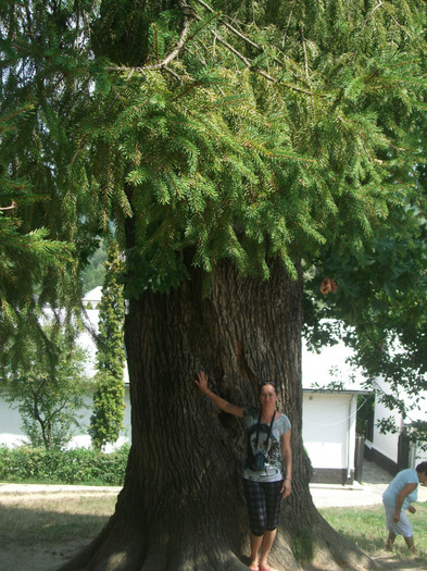 Picture 1184 - Mini concediu 3