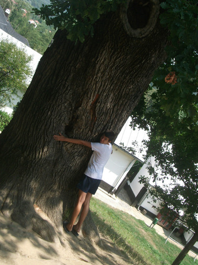 Picture 1185 - Mini concediu 3