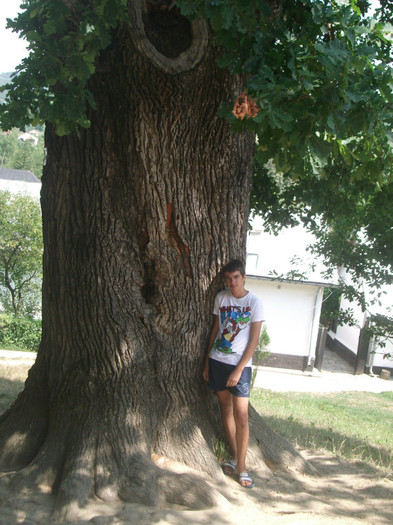 Picture 1186 - Mini concediu 3