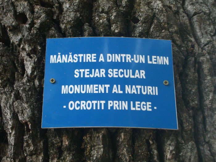 Picture 1187 - Mini concediu 3