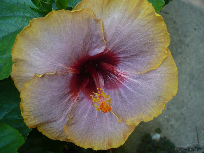 P1170316