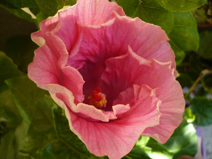 P1170320