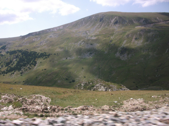 DSCF8192 - PLIMBARE PE TRANSALPINA