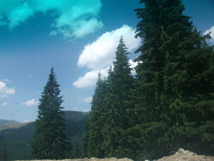 DSCF8243 - PLIMBARE PE TRANSALPINA