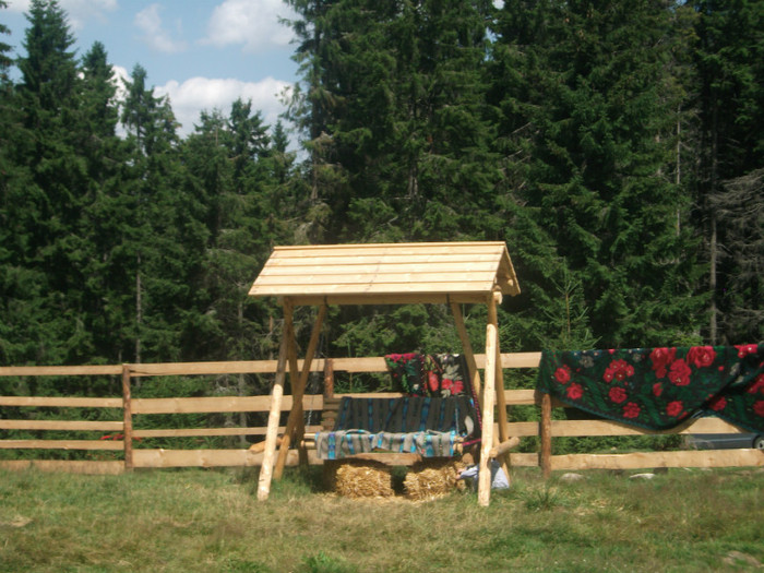 DSCF8247 - PLIMBARE PE TRANSALPINA