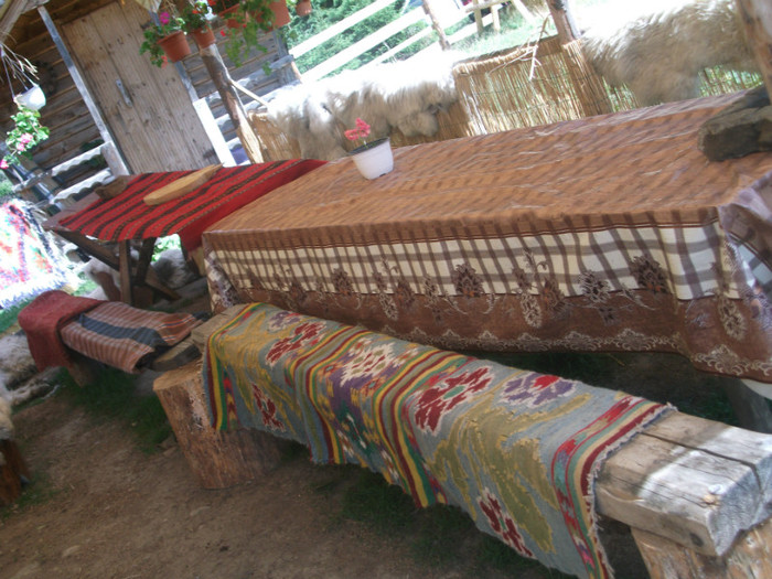 DSCF8252 - PLIMBARE PE TRANSALPINA