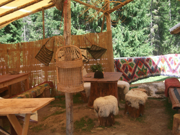 DSCF8253 - PLIMBARE PE TRANSALPINA