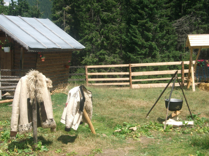 DSCF8254 - PLIMBARE PE TRANSALPINA