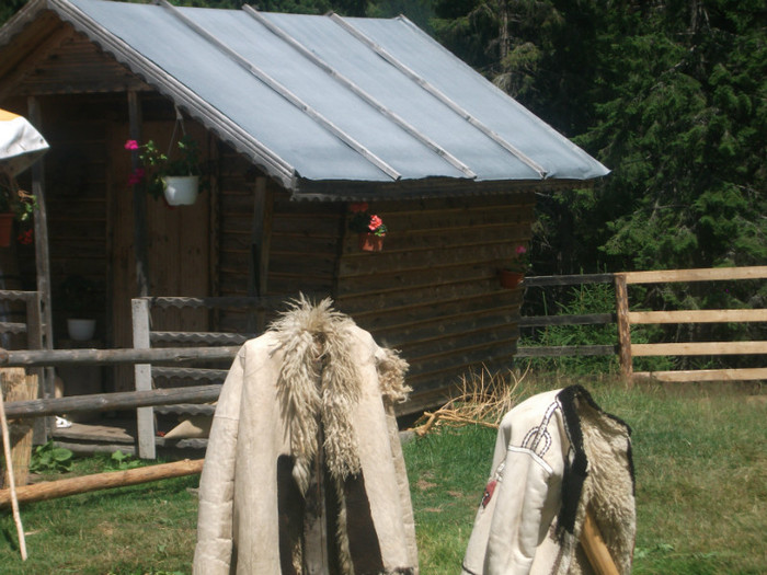 DSCF8256 - PLIMBARE PE TRANSALPINA