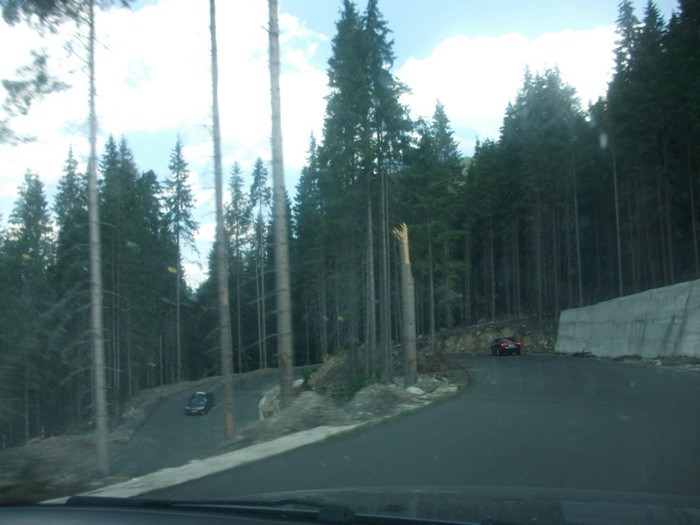 DSCF8262 - PLIMBARE PE TRANSALPINA