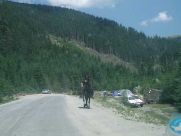 DSCF8266 - PLIMBARE PE TRANSALPINA