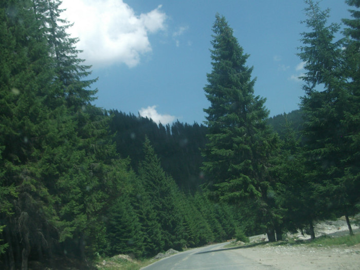 DSCF8267 - PLIMBARE PE TRANSALPINA