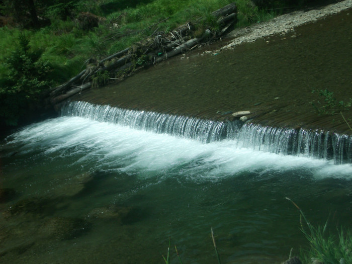 DSCF8273 - PLIMBARE PE TRANSALPINA