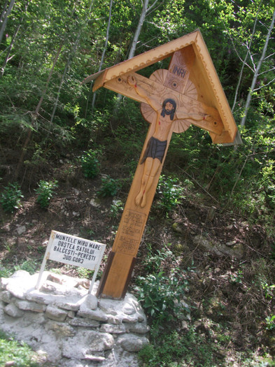 DSCF8276 - PLIMBARE PE TRANSALPINA