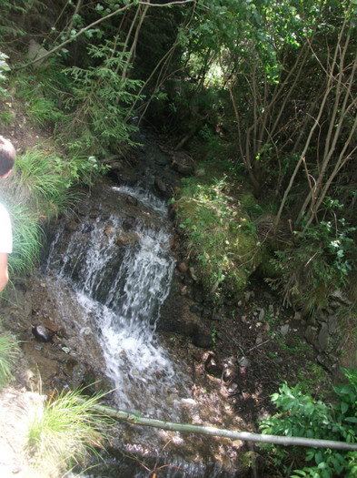 DSCF8277 - PLIMBARE PE TRANSALPINA