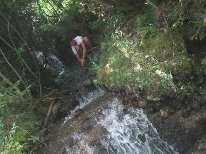 DSCF8281 - PLIMBARE PE TRANSALPINA