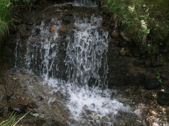 DSCF8283 - PLIMBARE PE TRANSALPINA