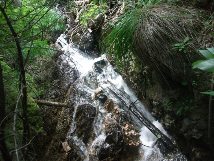 DSCF8300 - PLIMBARE PE TRANSALPINA