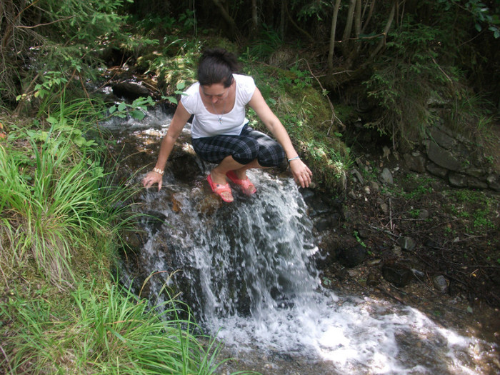 DSCF8308 - PLIMBARE PE TRANSALPINA