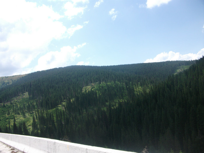 DSCF8324 - PLIMBARE PE TRANSALPINA