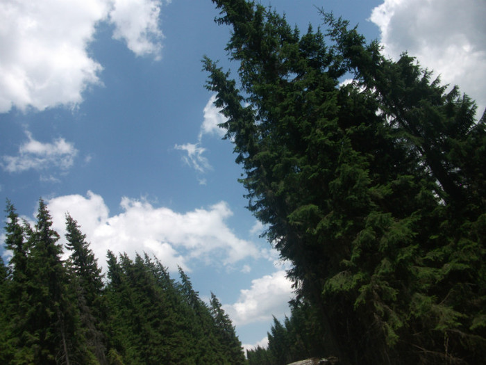 DSCF8332 - PLIMBARE PE TRANSALPINA