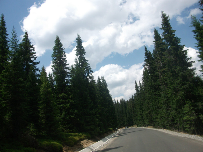 DSCF8339 - PLIMBARE PE TRANSALPINA