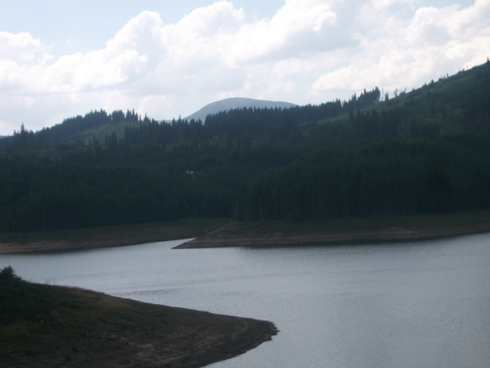 DSCF8376 - PLIMBARE PE TRANSALPINA