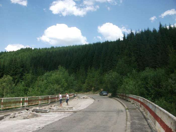 DSCF8389 - PLIMBARE PE TRANSALPINA