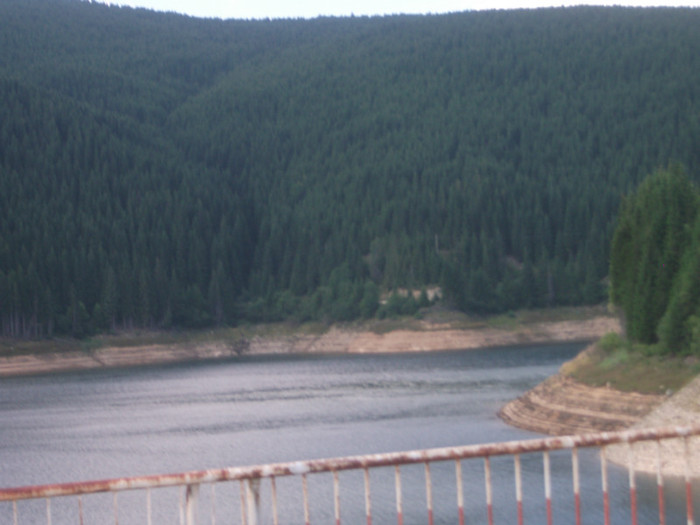 DSCF8391 - PLIMBARE PE TRANSALPINA