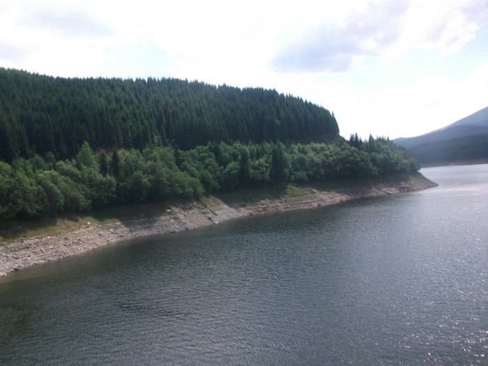 DSCF8396 - PLIMBARE PE TRANSALPINA