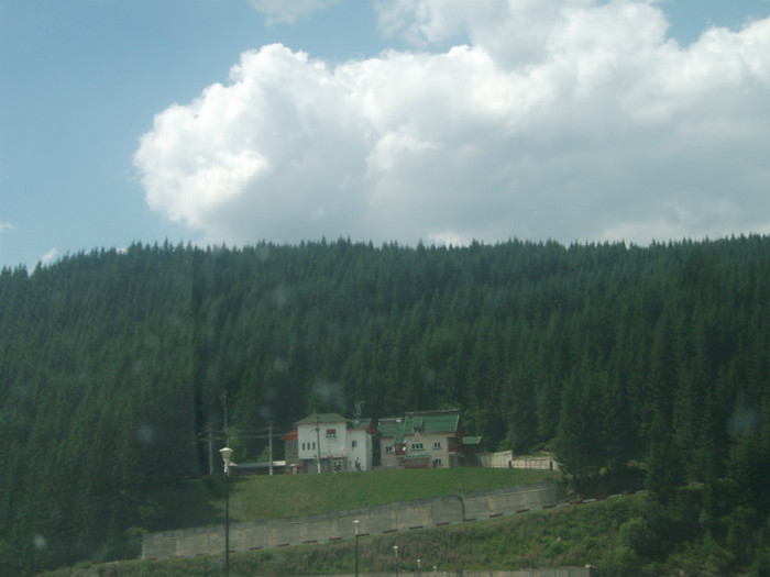 DSCF8401 - PLIMBARE PE TRANSALPINA